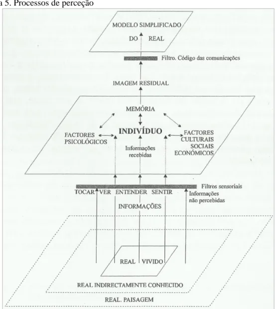 Figura 5. Processos de perceção 