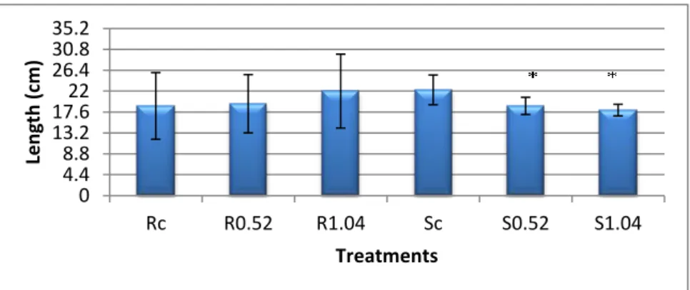 Graphic 2- Length of roots and aerial organs, expressed in centimetres. Data presented are mean ±  SE (n≥3)