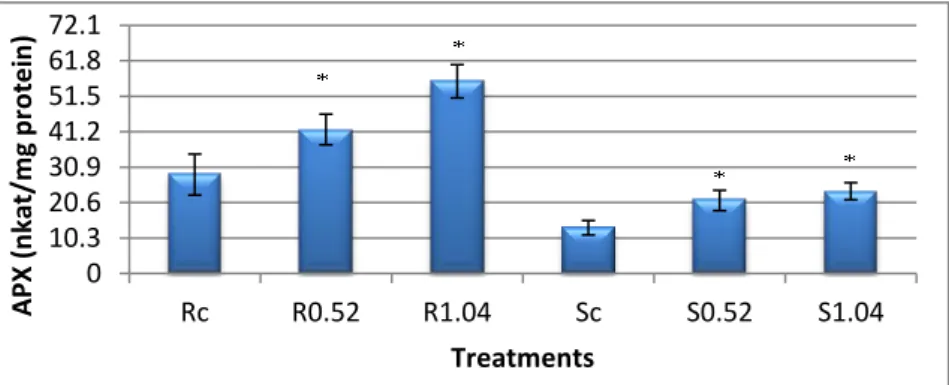 Graphic 11 - Ascorbate peroxidase (APX) activity in roots and aerial organs, expressed in nkat/mg  of protein