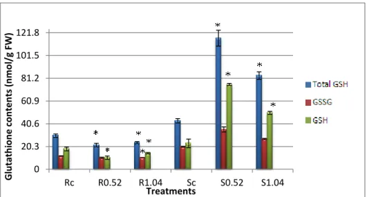 Graphic 14 - Acetophenone levels quantified in the nutrient solution (1.04 ppm treatment) during 28  days, on a weekly basis, in the presence or absence of S
