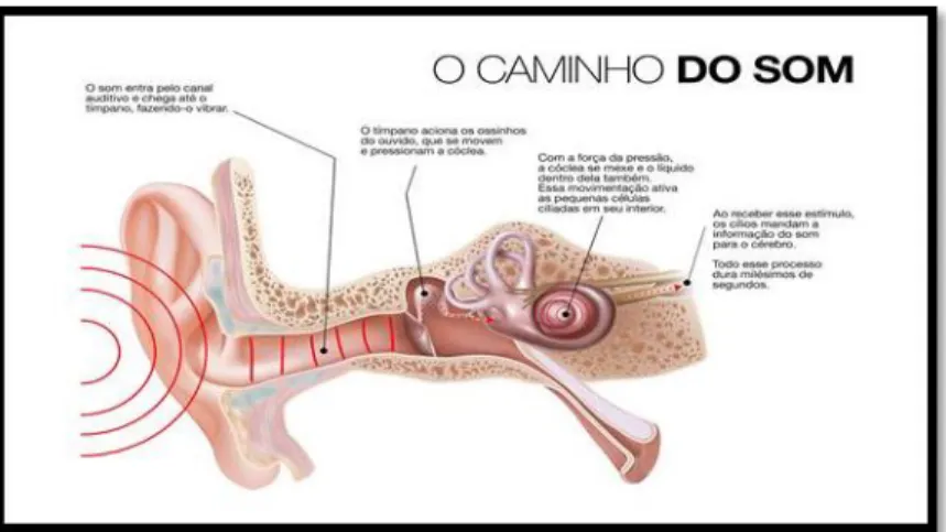 Figura 1 - O caminho do som 