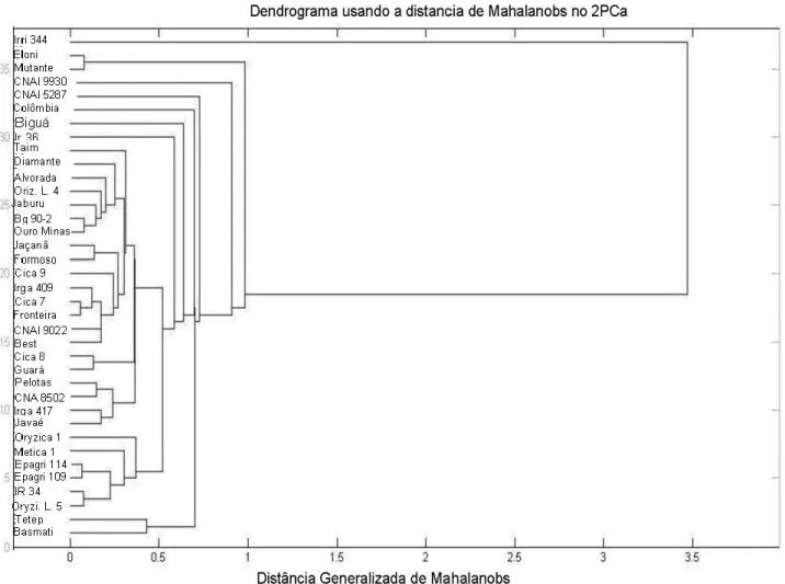 Figura 1 – Dendrograma representativo da dissimilaridade genética entre 37 genótipos de arroz irrigado,  em Gurupi-TO, 2009, obtidos pela técnica do vizinho mais próximo, utilizando a distância generalizada  de Mahalanobis como medida de dissimilaridade