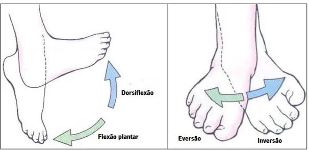 Figura 2.6 - Movimentos do tornozelo [23]. 