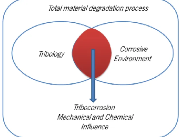 Figure 2 – Tribocorrosion basic concept (adapted from [54])