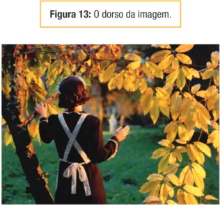 Figura 13: O dorso da imagem.