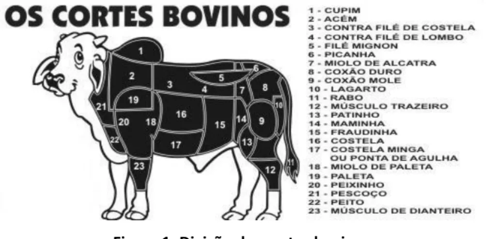 Figura 1: Divisão dos cortes bovinos 