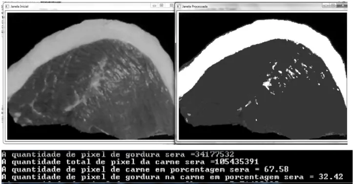 FIGURA 3 - Imagens original e processada do corte cárneo picanha e porcentagem obtida