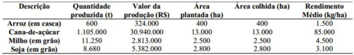 Tabela 6 - Produção agrícola de Goianésia (descrição, valor e unidade) - 2009.  