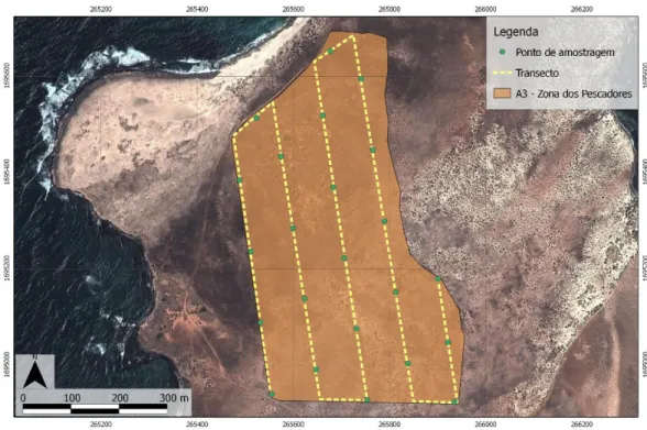 Figura 10: Transecto e pontos de amostragem na área 3 – Zona dos Pescadores. 