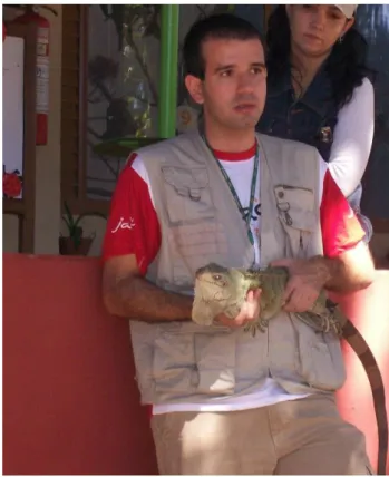 Fig. 1. Iguana iguana em cativeiro. 