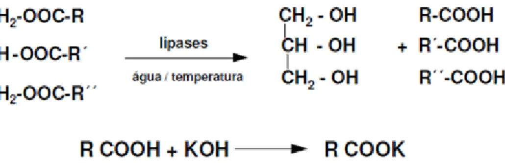 Figura 1 – Reações envolvendo a produção de ácidos graxos livres e a reação destes com a  base (INSTITUTO ADOLFO LUTZ, 2008)