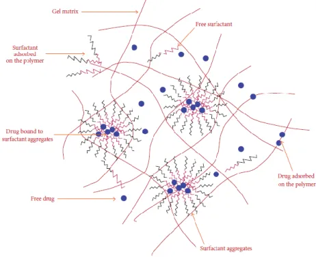 Figure 5 A schematic of the microstructure of the surfactant-laden gels. Reproduced from Kappor et al