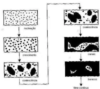 Fig. 2.13 – Representação esquemática das várias fases de crescimento de um filme [37].