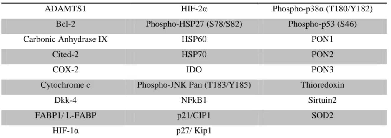 Table abbreviations: ADAMTS1 - A Disintegrin And Metalloproteinase with Thrombospondin Motifs 1, Bcl-2 - B-cell lymphoma  2, Cited-2 - Cbp/p300-interacting transactivator 2, COX-2 -  ciclo-oxigenase 2, Dkk-4 - Dickkopf-related protein 4, FABP-1 - Fatty  ac