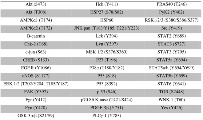 Table abbreviations: Akt – Protein kinase B, AMPKα1 - AMP-activated protein kinase alpha 1, AMPKα2 - AMP-activated protein  kinase alpha 2, Chk-2  - Checkpoint kinase 2, CREB - cAMP response element-binding protein, EGF R - Epidermal growth factor  recepto