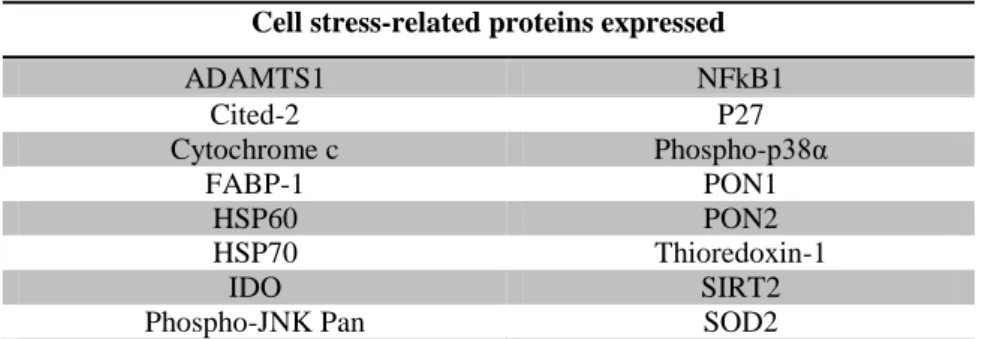 Table  VI  enumerates  the  16  cell  stress-related  proteins  that  are  expressed  in  placental bed