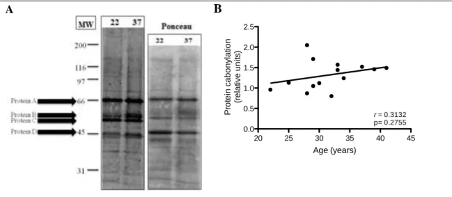 Figure  7.  Effect  of  age  on  DNP  expression.  DNP  expression  was  determined  in  placental  bed  tissue  obtained from women between 22 and 41 years old