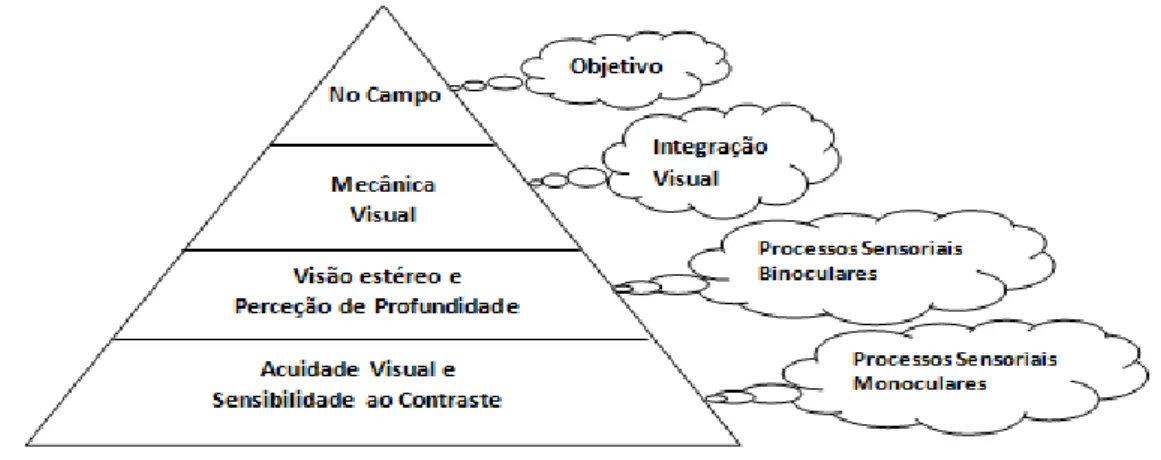 Figura 1 - Pirâmide de Visão e Desporto.