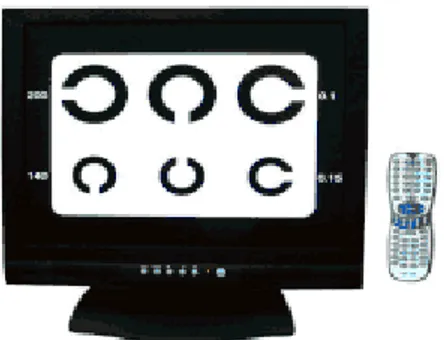 Figura 4 - Projetor LCD Vision Screen - MCT. 