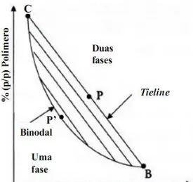 Figura 2.1 - Diagrama de fases para sistemas de  duas  fases  aquosas  polímero-polímero  ou  polímero-sal (Kepka, 2004)