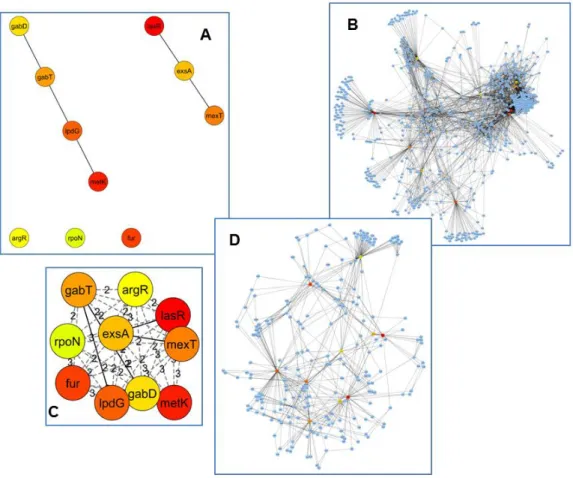 Figure 8: Cyto-Hubba results for the integrated network of P. aeruginosa for the ranking method – Bottleneck