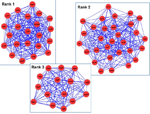 Figure 11: The top three higher ranked clusters afte MCODE application. The details of the 122 clusters obtained  by this method are described in Appendix (Table A 3)