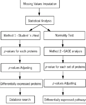 Figure 9 - Schematic workflow of statistical analysis. 