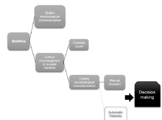 Figure 7: Generic workflow of biofilm characterization with the end goal but not yet created of clinical decision making