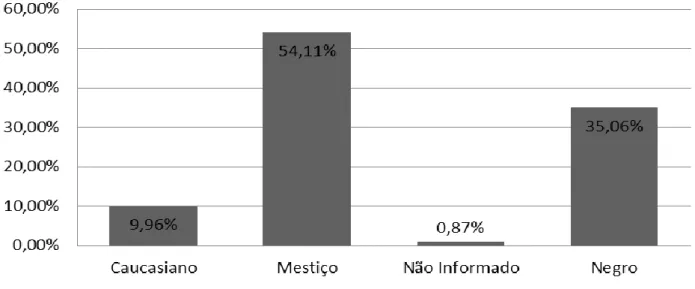 Figura 2 -  Porcentagens de indivíduos  identificados heterozigotos  para hemoglobina  S em relação à etnia  no ano 2016