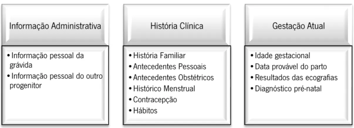Figura 2 - Dados relatives a informação administrativa, história clínica e gestação atual