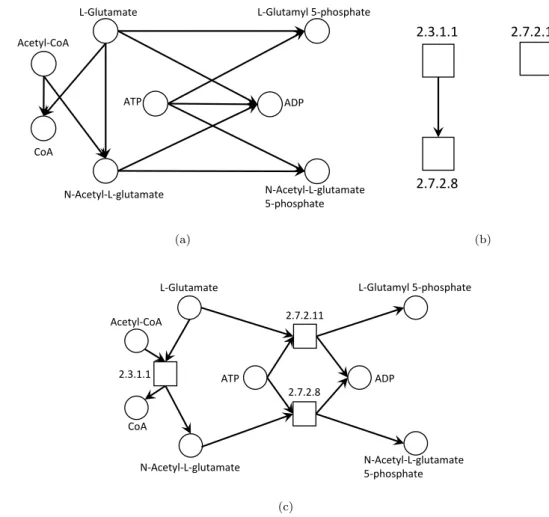 Figure 2.2: Three possible graph representations of reactions r 0 , r 1 and r 2 ; a) compound graph; b) reaction graph; c) compound-reaction graph;