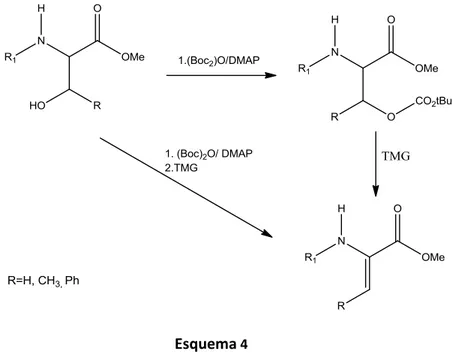 Figura 11: Estrutura da Dolastatina                         Figura 12: Estrutura da Didemnina   Estes aminoácidos têm sido aplicados como blocos sintéticos de construção em  química  medicinal  e  para  estudos  estruturais  ou  de  atividades  biológicas
