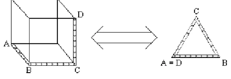 Figure 5. The Cube. 