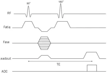 Figura 2-7 Sequência single echo-spin standard. Constituída por pulsos RF, seleção de cortes e fase,  gradiente de leitura-readout, tempo de eco-TE e leitura do coeficiente de difusão aparente (Apparent 