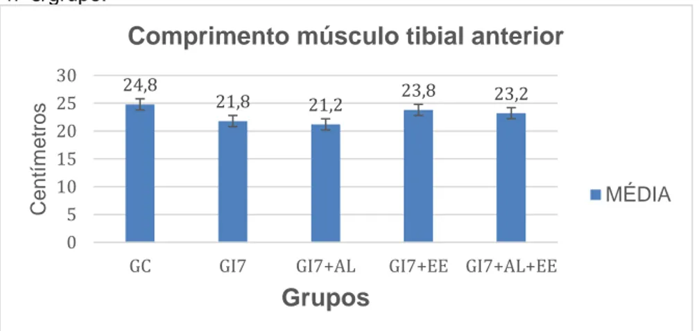 Gráfico 1 – Comparação entre grupos para a variável comprimento do  músculo tibial anterior