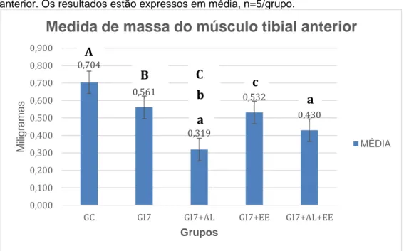 Gráfico 2 – Comparação entre grupos para a variável massa do músculo tibial  anterior