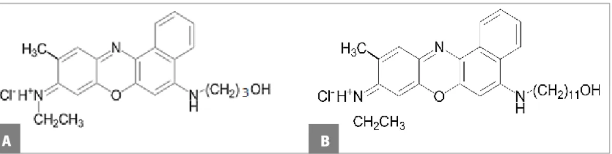 Figure 6. Chemical structure of FSc (A) and FSd (B) dyes. 