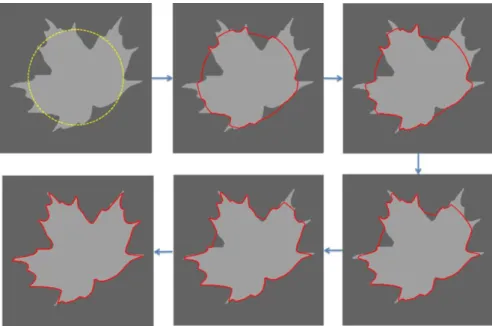 Figure 3.10 - Active contours propagation. The dashed yellow line is the initialization