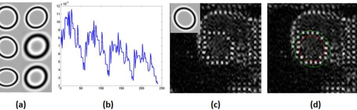 Figure 3.13 - Template matching methodology proposed in [33]. (a) Design of various kernels to use  as  templates,  (b)  optimization  problem  to  detect  the  optimal  template,  (c)  original  image  and  optimal template, (d) original image and first e