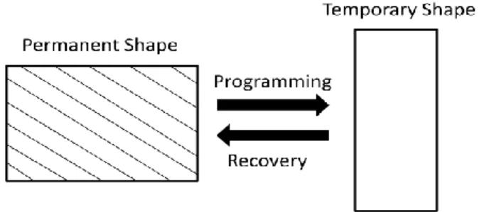 Figure I.1 - Schematic representation of the shape memory effect (Adapted from  34 ). 