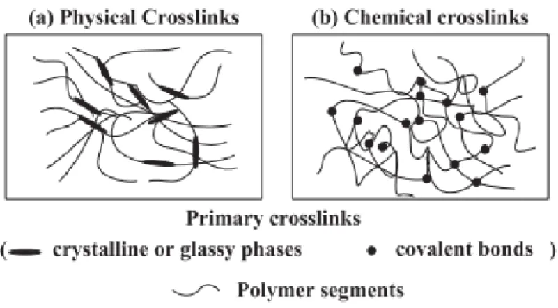 Figure I.2 - Schematics of the typical structures of a polymer network that is (a) physically crosslinked network; 