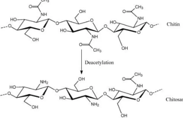 Figure I.7 - Chemical structure of chitin and chitosan  94 . 