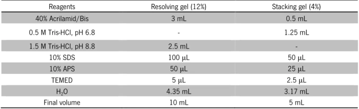 Table 4. Composition of SDS polyacrylamide gels 