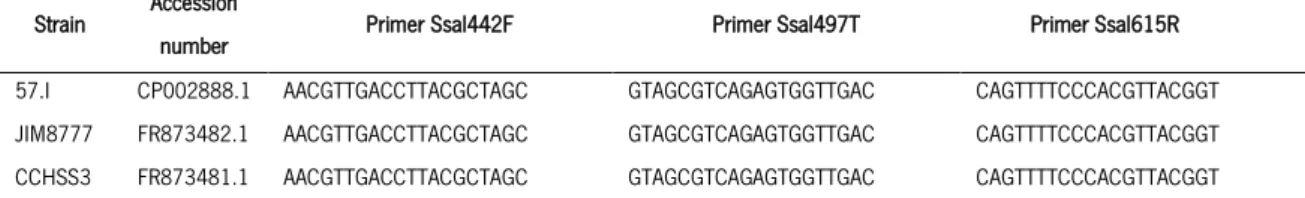 Table 1 – Comparison of the sequences of primers and probe designed for different strains of  mutans streptococci Strain  Accession 