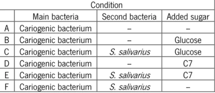Table  3:  Conditions  used  in  dual-species  model  growth  with  each  one  of  cariogenic  bacteria  ( Streptococcus  mutans   or  Streptococcus sobrinus )