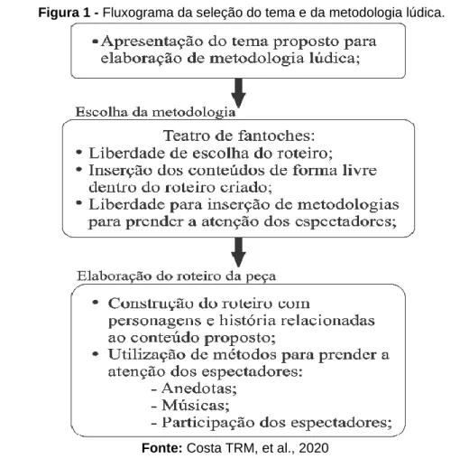 Figura 1 - Fluxograma da seleção do tema e da metodologia lúdica. 