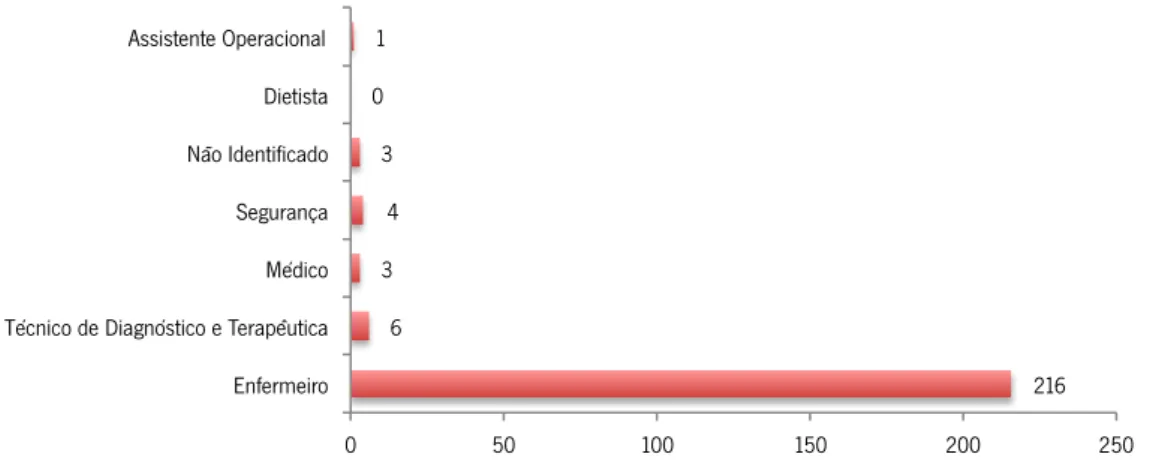 Gráfico 10 - Distribuição da Declaração das Quedas por Categoria Profissional - Ano  2012