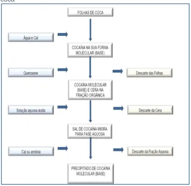 Figura  2 -  Processo  de  extração  da  cocaína  das  folhas  de  E. 
