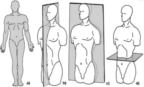 Figura 2.2 - a) Ilustração da posição anatómica; b) plano sagital; c) plano frontal; d) plano transversal {adaptado de [5]}