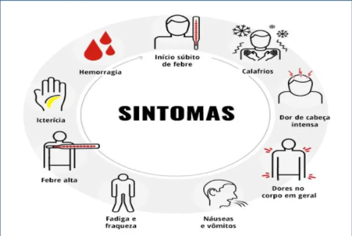 Figura 1 – Principais sintomas da febre amarela 